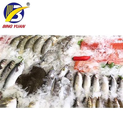 220V産業ドライ アイス メーカーを冷却する省エネ肉