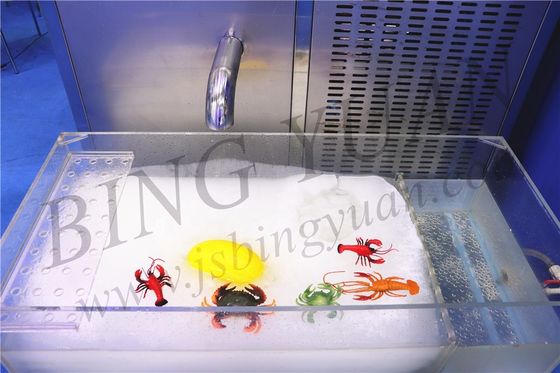 220ボルト1トンのスラリーの製氷機、自動製氷機械